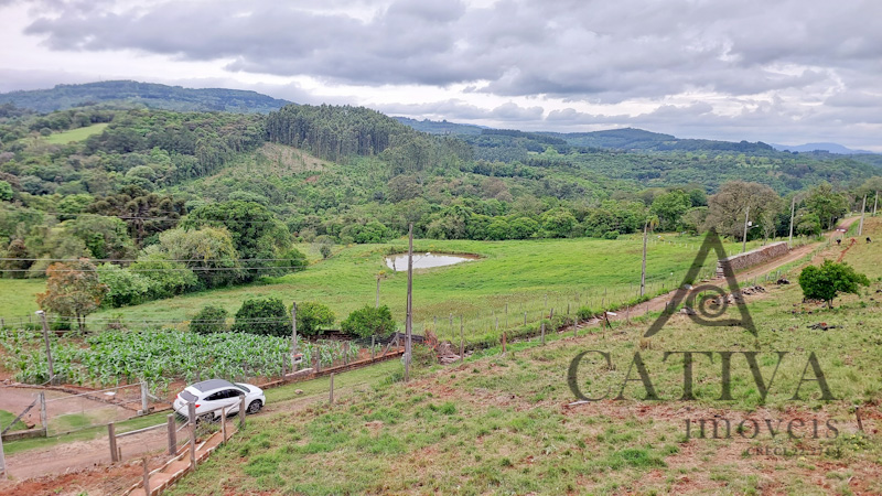 Excelente sítio na subida da Serra Gaúcha - Cativa Imóveis