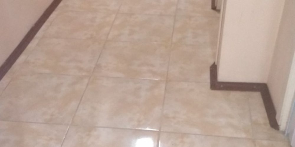 C497. (2)