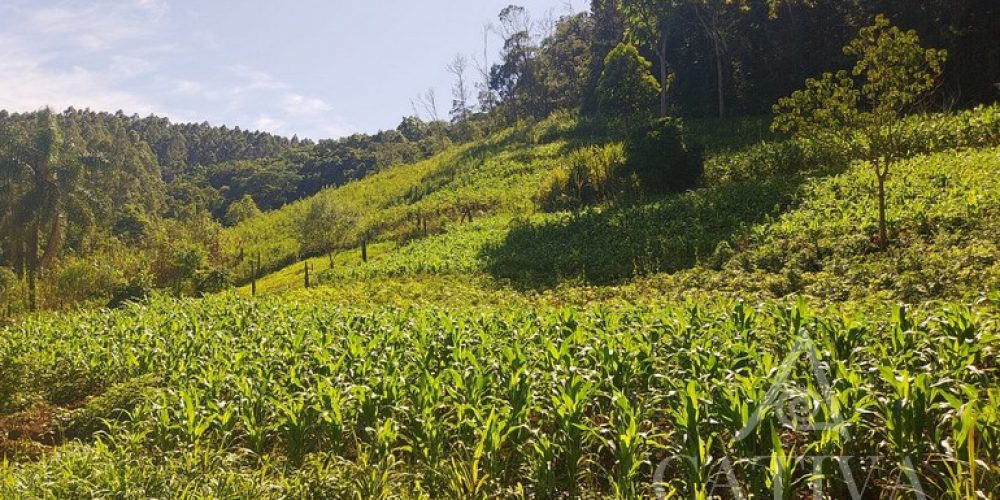 Área boa para produção