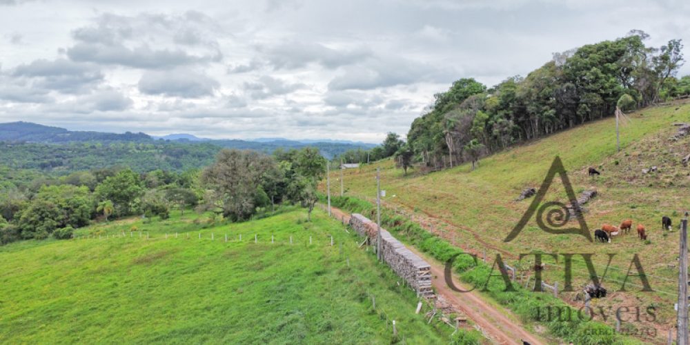 Excelente sítio na subida da Serra Gaúcha - Cativa Imóveis