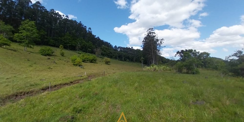 S220 (13 de 13)