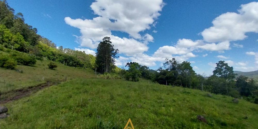 S220 (8 de 13)