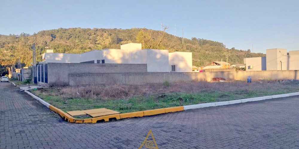 T458 (2 de 9)