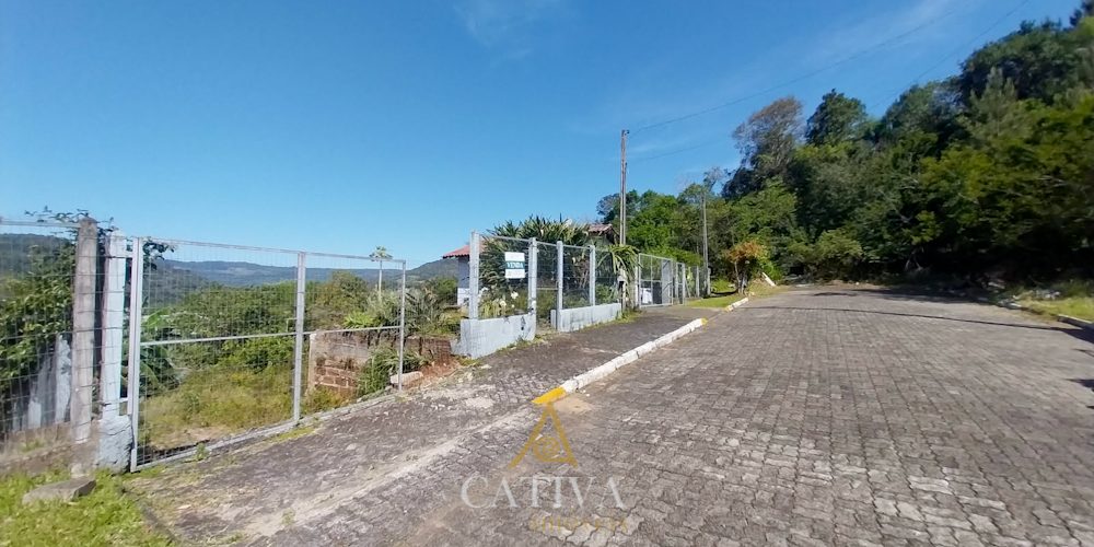 T465 (19 de 31)