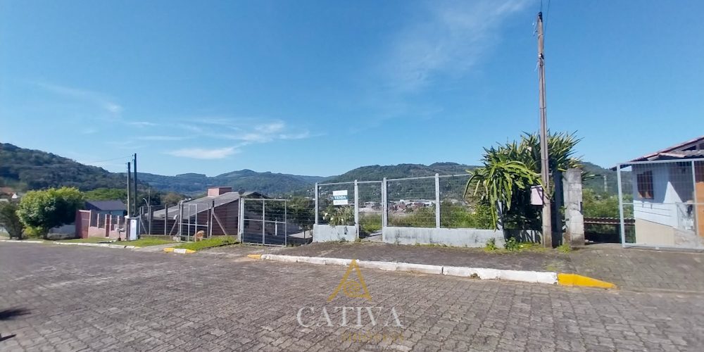 T465 (28 de 31)