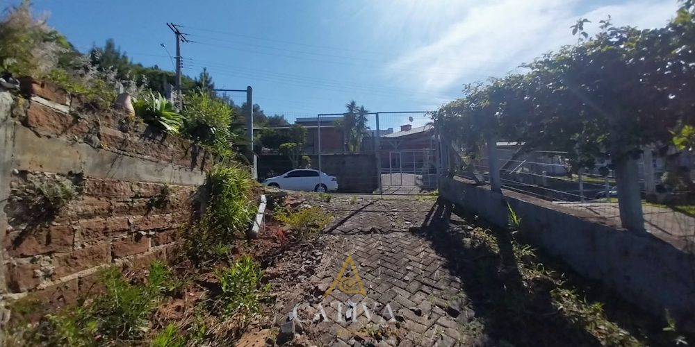 T465 (5 de 31)