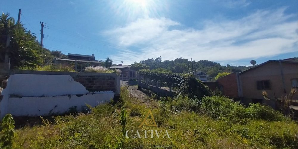 T465 (7 de 31)