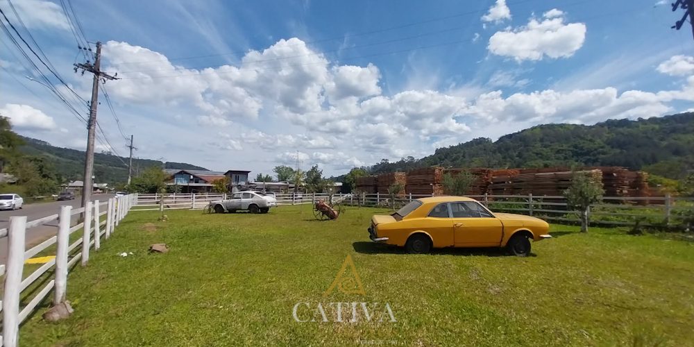 T466 (12 de 31)