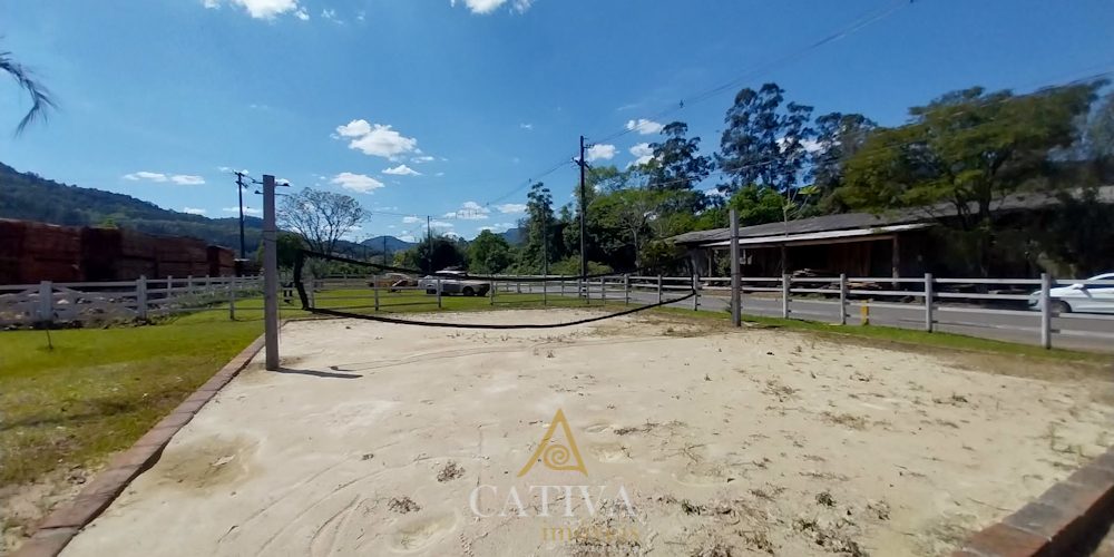 T466 (25 de 31)