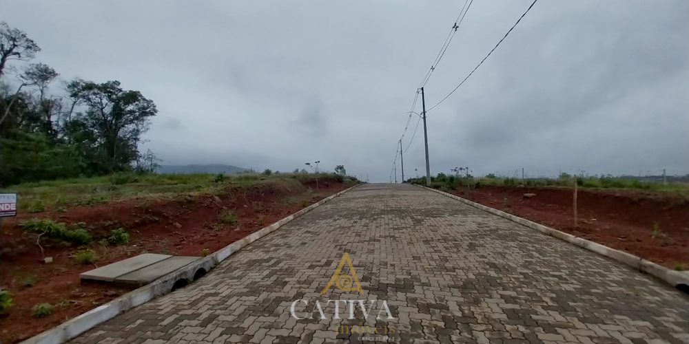 T467 (1 de 13)