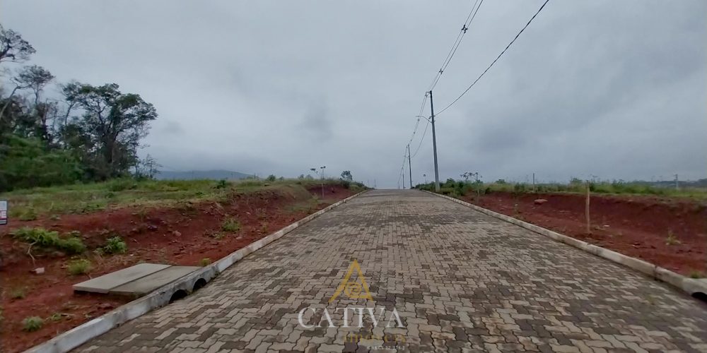 T467 (2 de 13)
